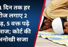 21 दिन तक हर रोज लगाए 2 पेड़, 5 वक्त पढ़े नमाज; कोर्ट की अनोखी सजा