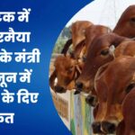 भैंस कट सकती है तो फिर गाय क्यों नहीं ; कर्नाटक सरकार के मंत्री ने कानून में बदलाव के दिए संकेत