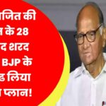 भतीजे अजित की बगावत के 28 दिन बाद शरद पवार ने BJP के लिए ढूंढ लिया ‘चाणक्य’ प्लान!
