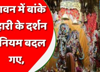 वृंदावन में बांके बिहारी के दर्शन के नियम बदल गए, जान लीजिए नहीं तो..वापस आ जाएंगे