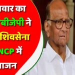 शरद पवार का आरोप,’बीजेपी ने कराया शिवसेना और NCP में विभाजन’,मोदी सरकार से पूछा ये तीखा सवाल