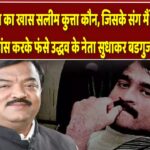 दाऊद इब्राहिम का खास सलीम कुत्ता कौन?जिसके संग मैं हूं डॉन गाने पर डांस करके फंसे बडगुजर