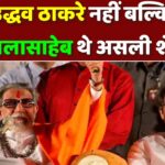 उद्धव ठाकरे नहीं बल्कि बालासाहेब थे असली शेर… देवेंद्र फडणवीस ने संजय राउत को बताया मंथरा