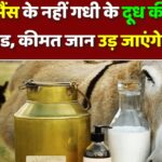 गाय भैंस के नहीं गधी के दूध की बढ़ी डिमांड, कीमत जान उड़ जाएंगे होश