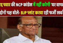 शरद पवार की NCP कांग्रेस में नहीं करेगी ‘घर वापसी’, दोनों पक्ष बोले- BJP प्लांट करवा रही फर्जी खबरें